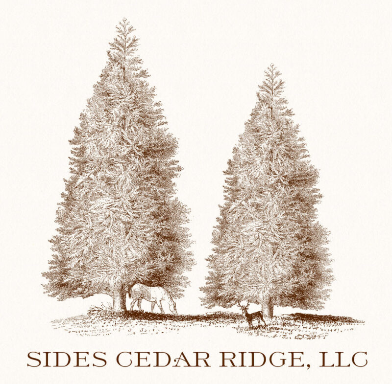 sidescedarridge-logo-082915